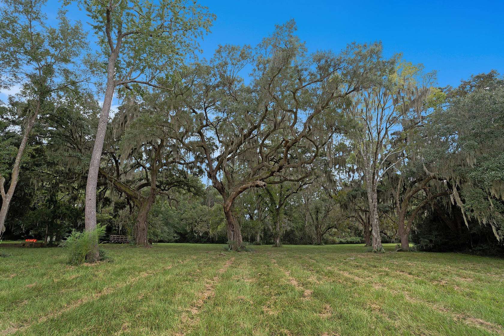 10 Acres of Residential Land for Sale in Meggett, South Carolina