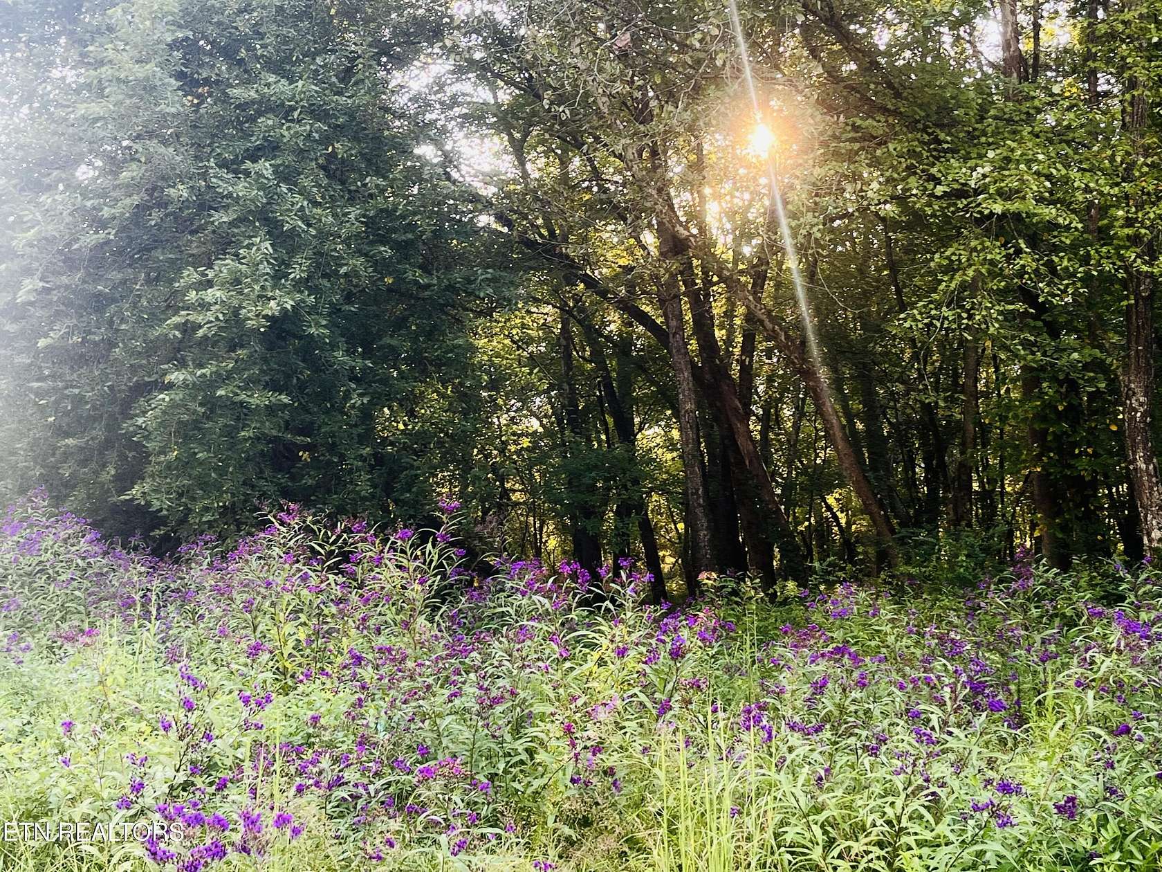 5 Acres of Residential Land for Sale in Heiskell, Tennessee