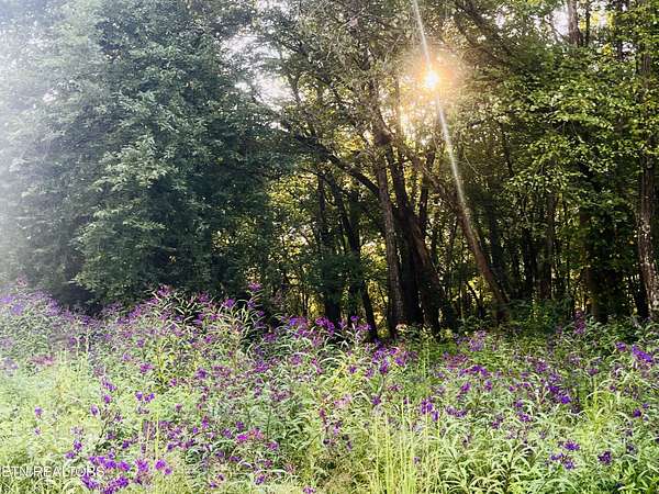 5 Acres of Residential Land for Sale in Heiskell, Tennessee