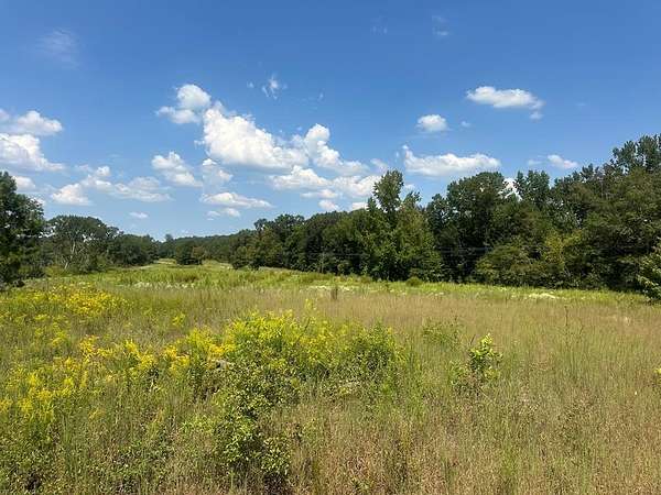 38.3 Acres of Recreational Land & Farm for Sale in Troy, Alabama