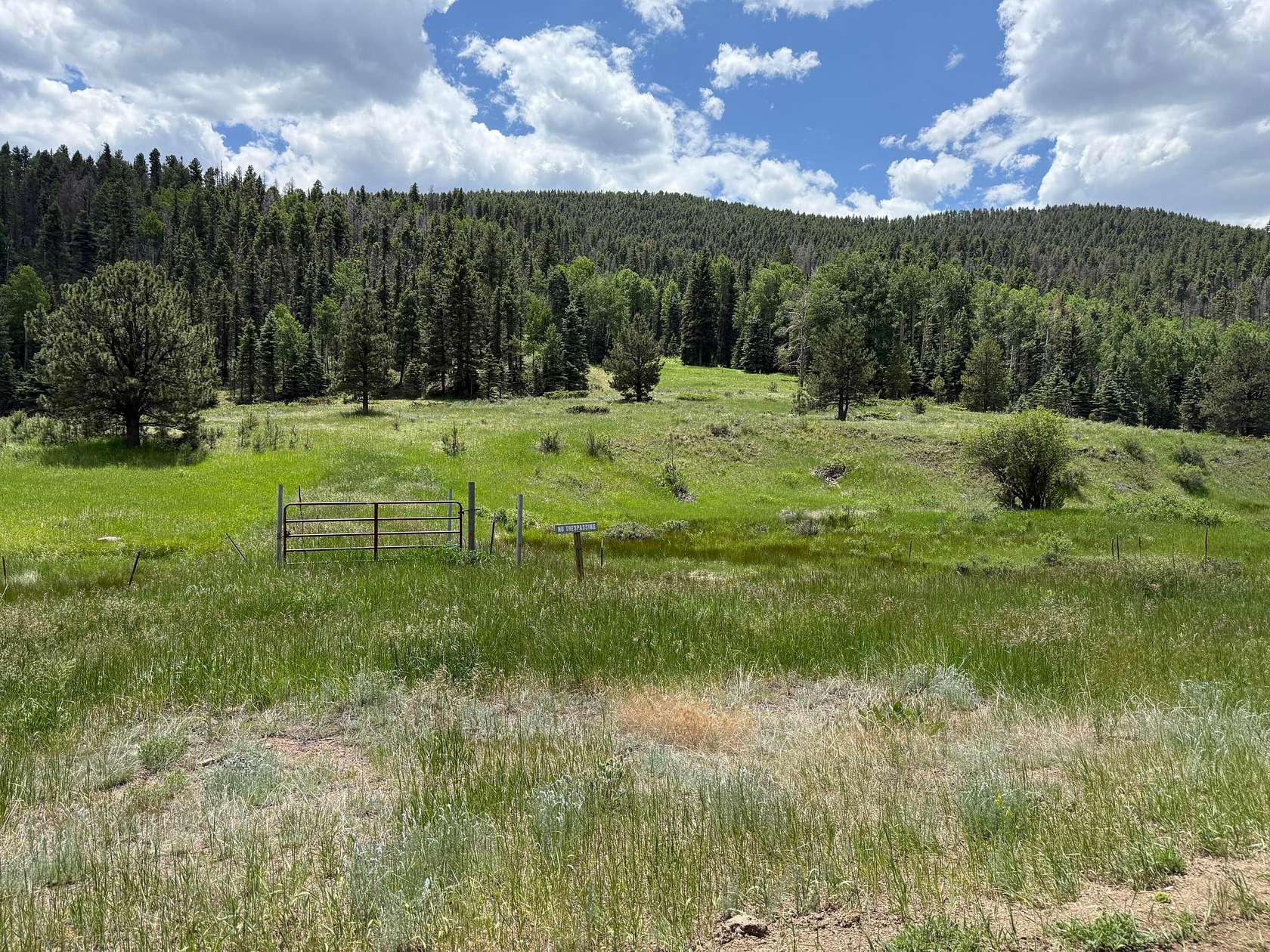 148 Acres of Land for Sale in Westcliffe, Colorado