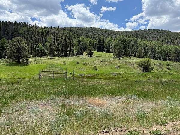 149 Acres of Recreational Land for Sale in Westcliffe, Colorado
