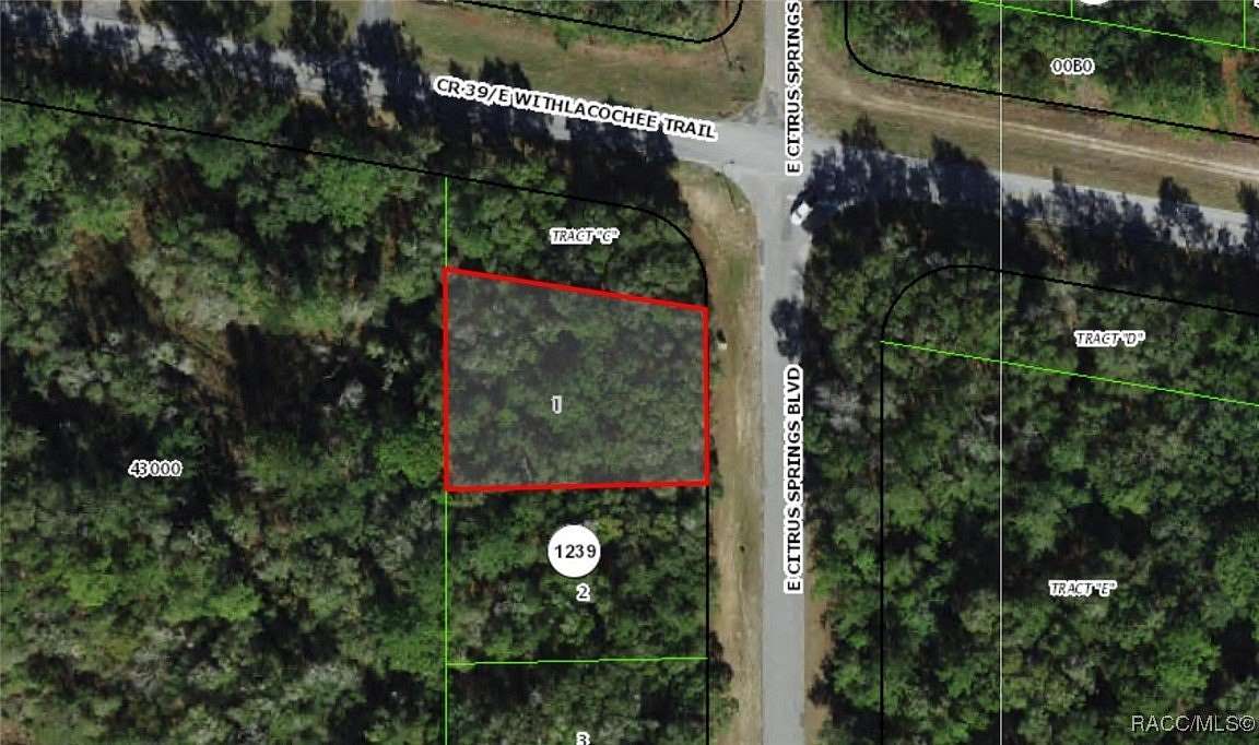0.39 Acres of Residential Land for Sale in Citrus Springs, Florida