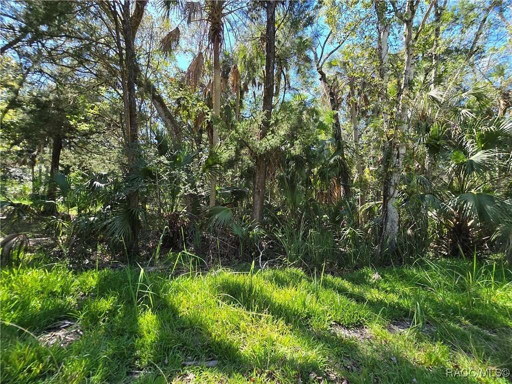0.67 Acres of Residential Land for Sale in Homosassa, Florida