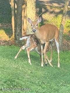 2.76 Acres of Residential Land for Sale in Bushkill, Pennsylvania