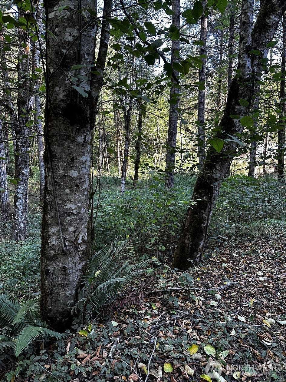 2 Acres of Residential Land for Sale in Gig Harbor, Washington