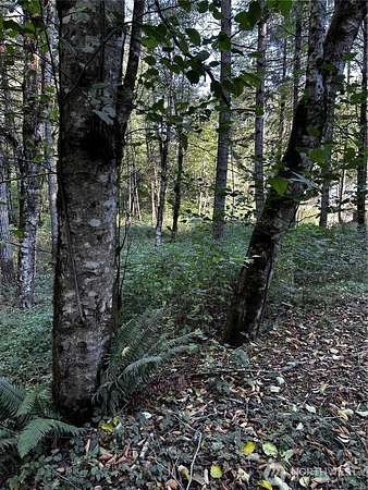 2 Acres of Residential Land for Sale in Gig Harbor, Washington