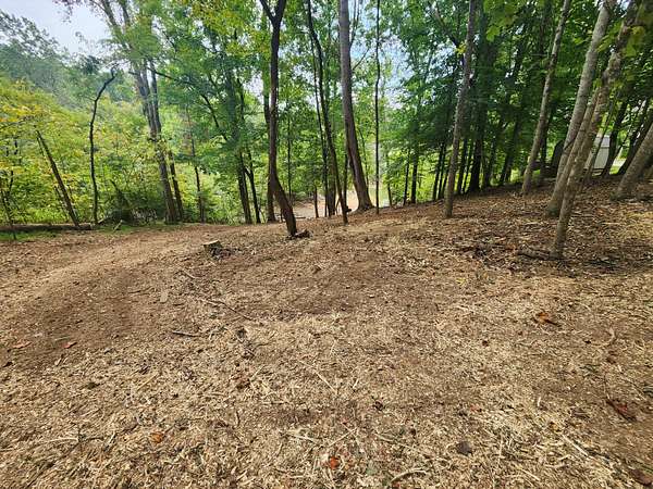 0.71 Acres of Residential Land for Sale in Mooresburg, Tennessee