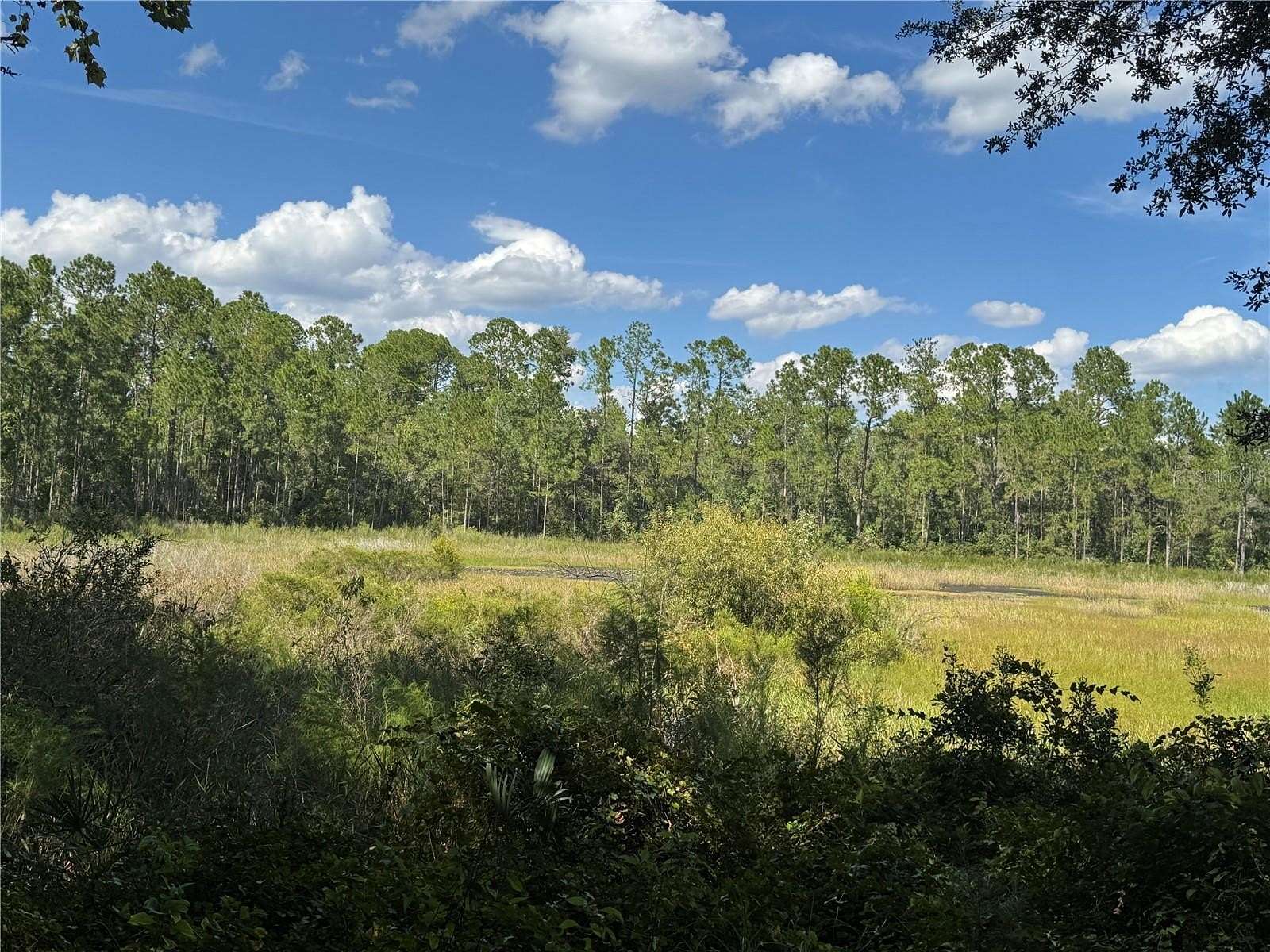 40.3 Acres of Recreational Land for Sale in Orange Springs, Florida