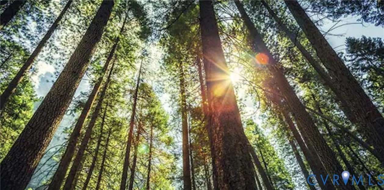 50 Acres of Recreational Land for Sale in Powhatan, Virginia