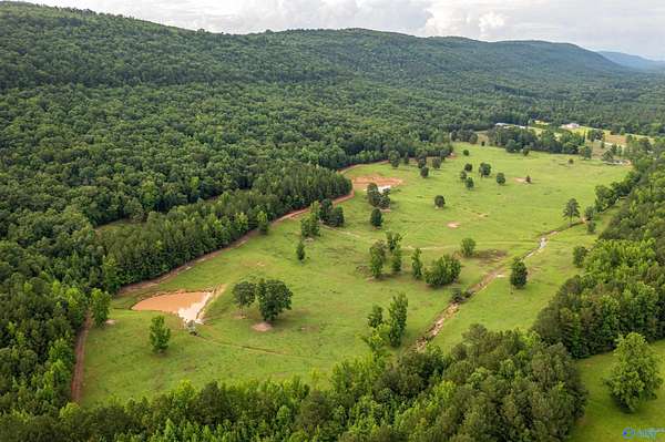 153 Acres of Recreational Land & Farm for Sale in Gadsden, Alabama