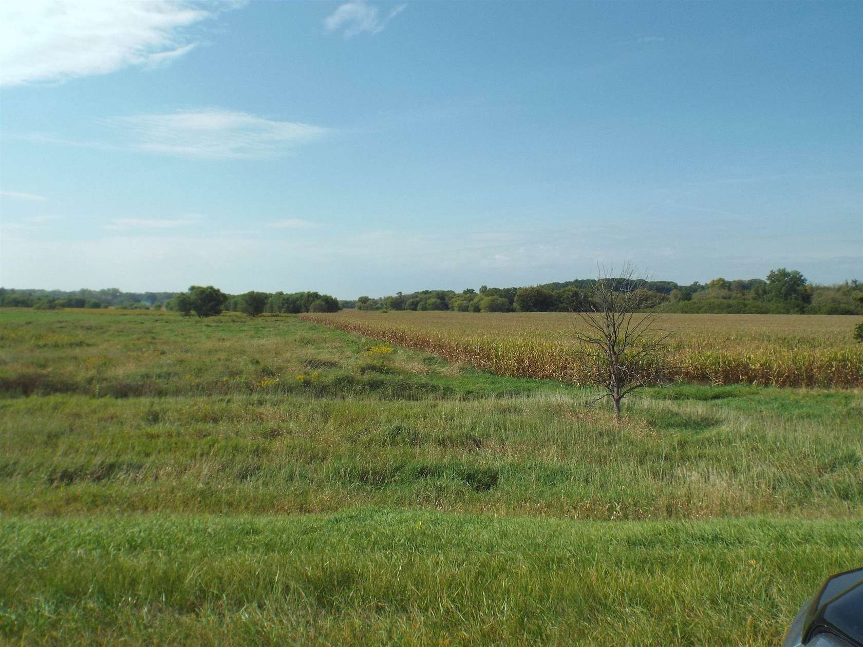 17.5 Acres of Recreational Land for Sale in Orangeville, Illinois