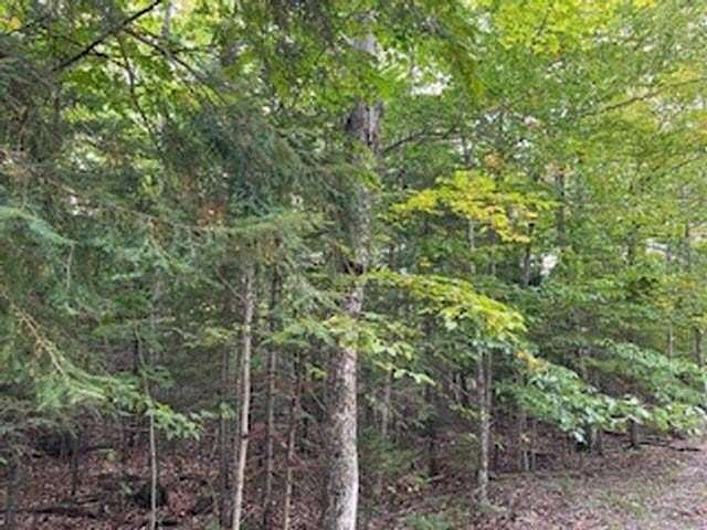 1.54 Acres of Residential Land for Sale in Ellison Bay, Wisconsin