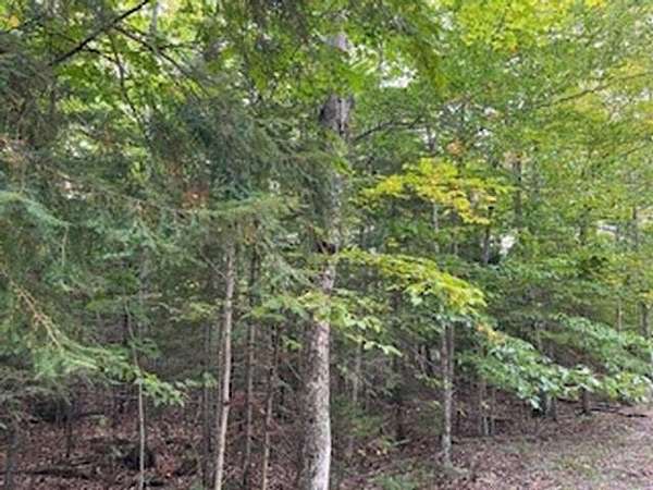 1.54 Acres of Residential Land for Sale in Ellison Bay, Wisconsin