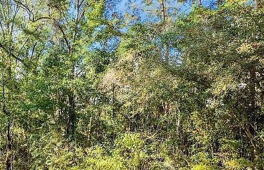 0.12 Acres of Land for Sale in Poplarville, Mississippi