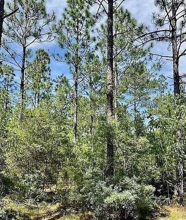 0.28 Acres of Land for Sale in Lumberton, Mississippi