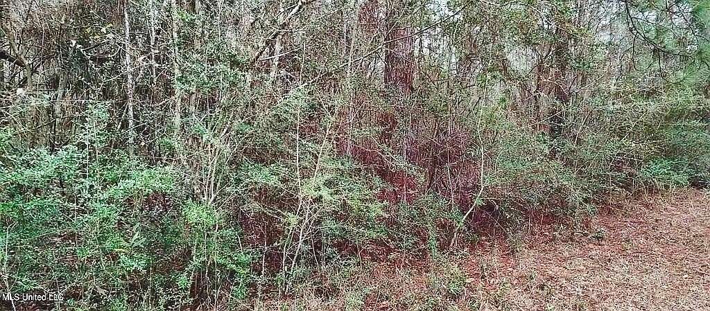 0.27 Acres of Residential Land for Sale in Lumberton, Mississippi