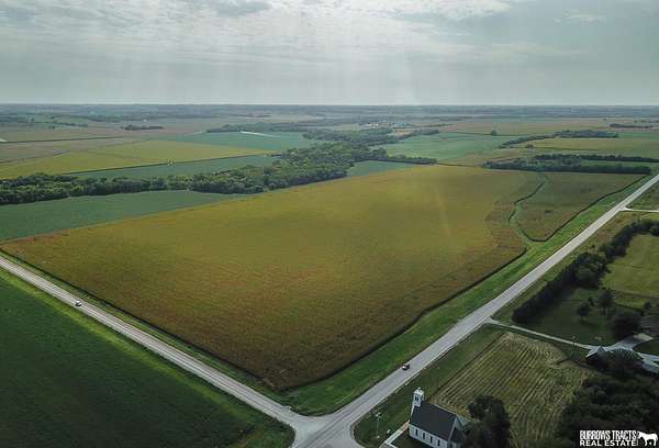 73.8 Acres of Agricultural Land for Auction in Sterling, Nebraska