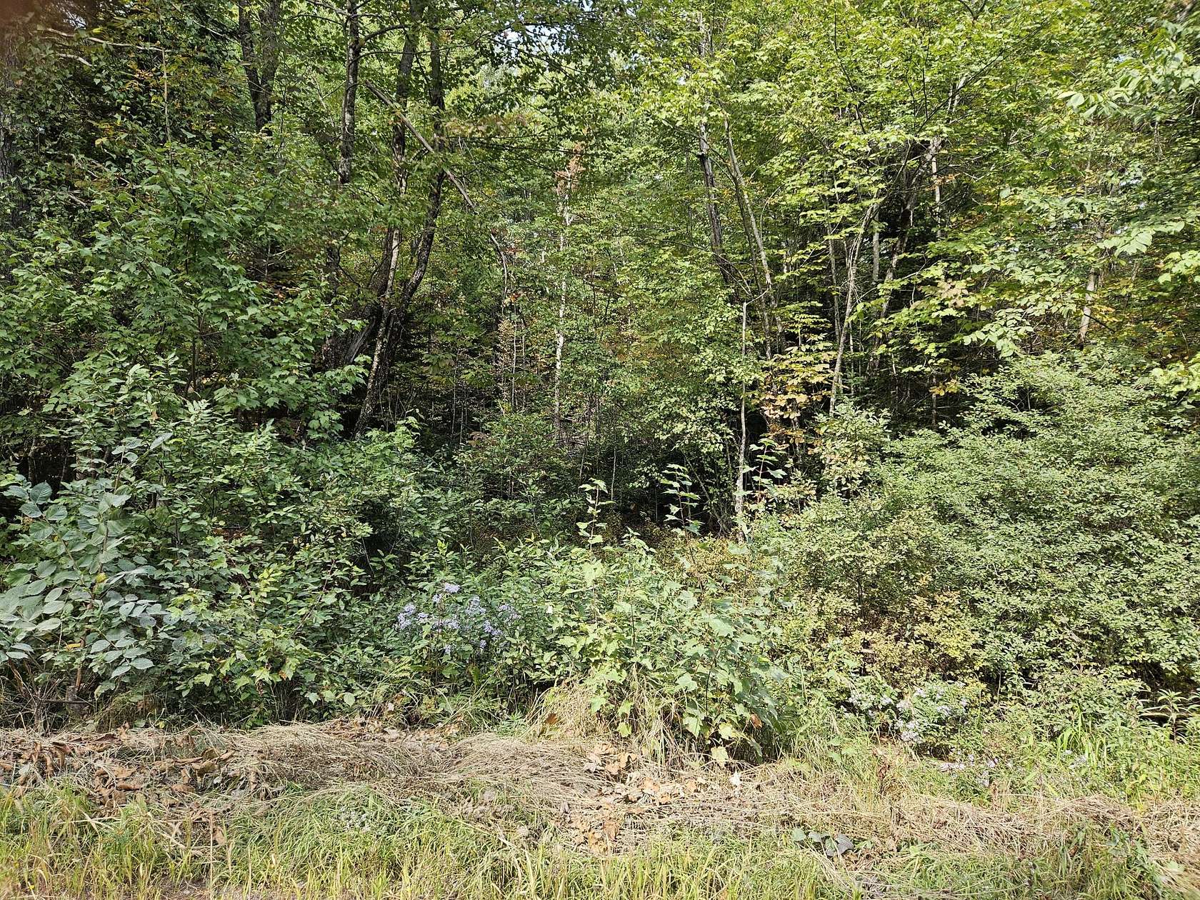 2 Acres of Residential Land for Sale in Orneville Township, Maine