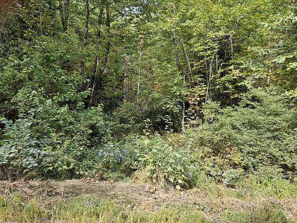 2 Acres of Residential Land for Sale in Orneville Township, Maine