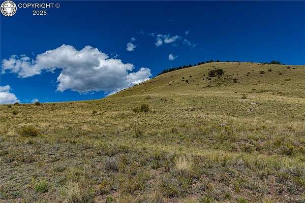 38.5 Acres of Land for Sale in Cotopaxi, Colorado