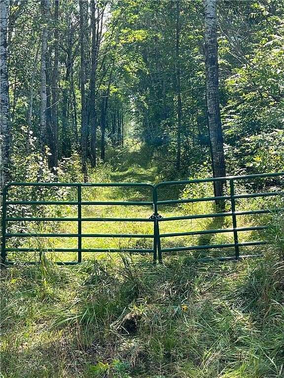 180 Acres of Recreational Land for Sale in Ray, Minnesota