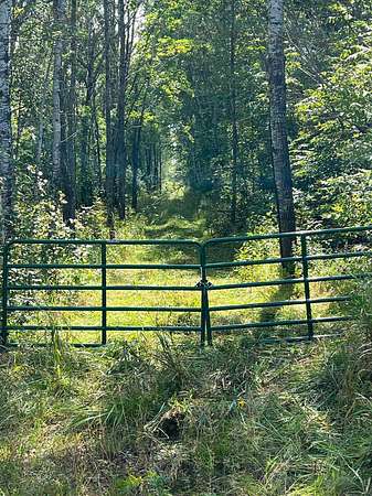180 Acres of Recreational Land for Sale in International Falls, Minnesota