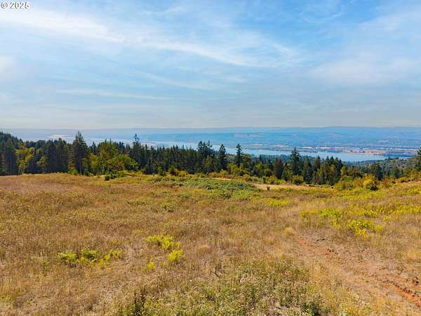 2 Acres of Residential Land for Sale in Kalama, Washington