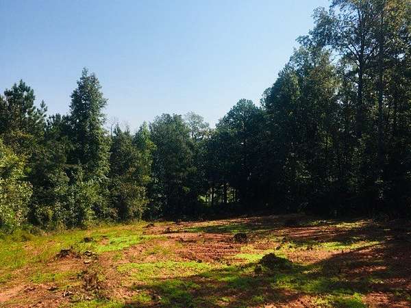 0.78 Acres of Residential Land for Sale in Eatonton, Georgia
