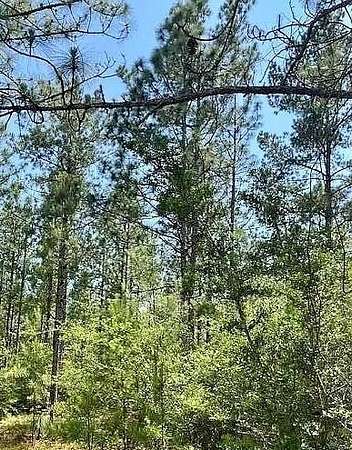 0.28 Acres of Residential Land for Sale in Lumberton, Mississippi