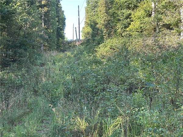 30 Acres of Land for Sale in Winslow, Arkansas