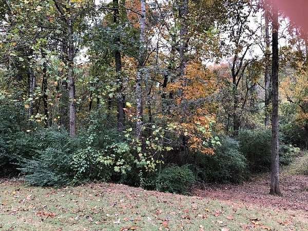 0.35 Acres of Land for Sale in Lithonia, Georgia