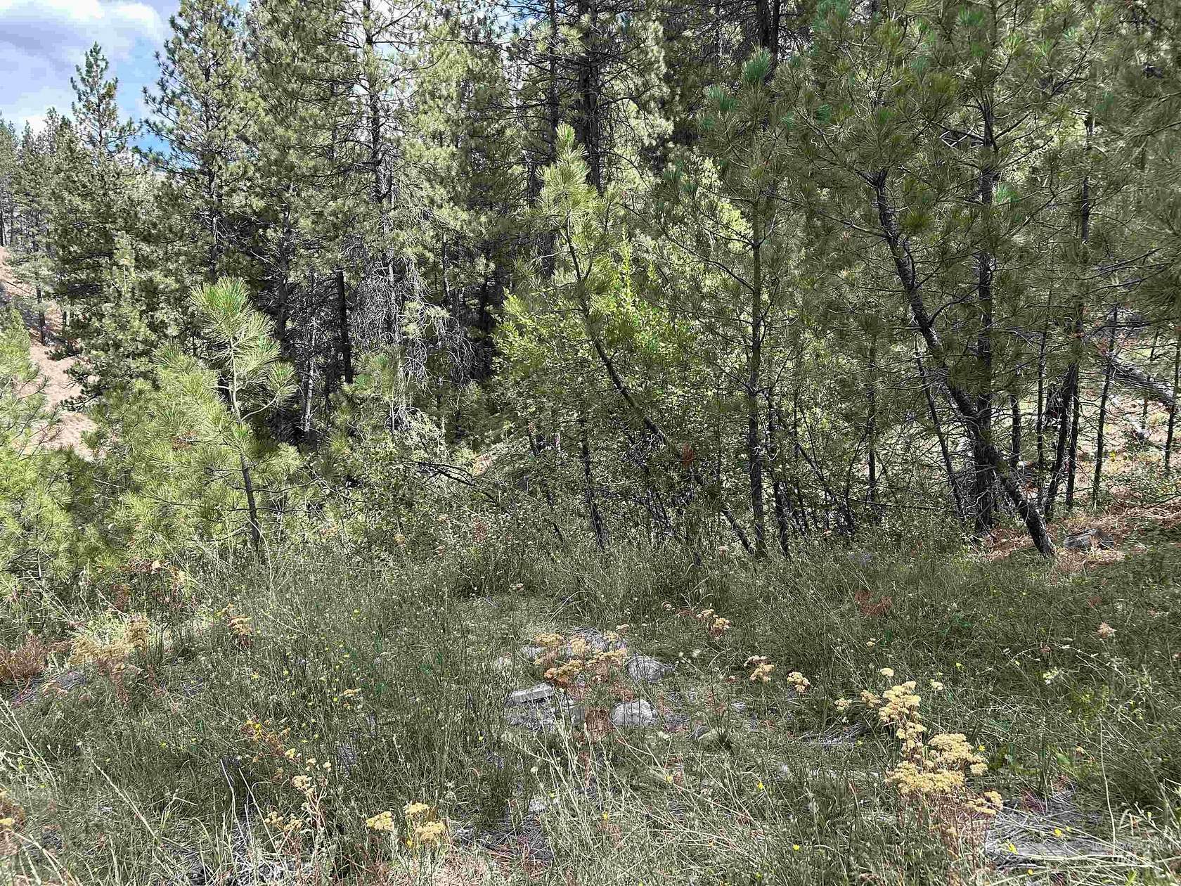 2.5 Acres of Residential Land with Home for Sale in Boise, Idaho