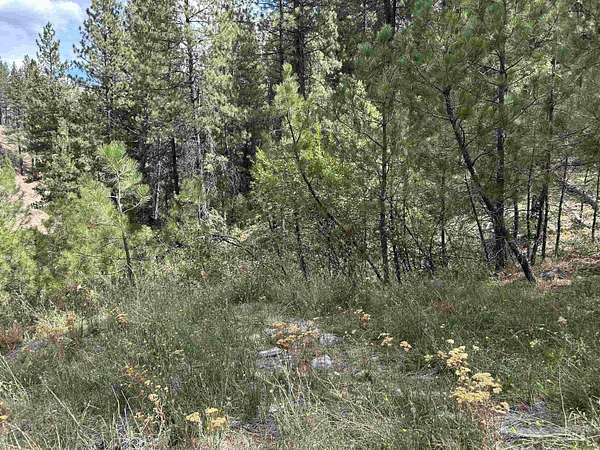 2.5 Acres of Residential Land with Home for Sale in Boise, Idaho