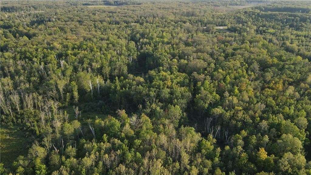 38.2 Acres of Recreational Land for Sale in Millward Township, Minnesota