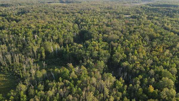 38.2 Acres of Recreational Land for Sale in McGrath, Minnesota