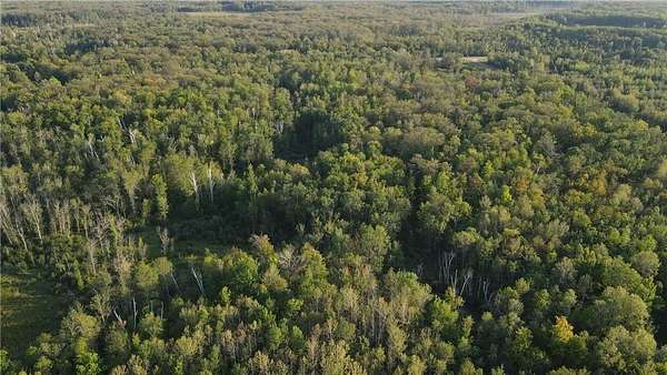 38.2 Acres of Recreational Land for Sale in Millward Township, Minnesota