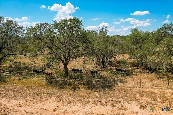 87.4 Acres of Land for Sale in Poteet, Texas