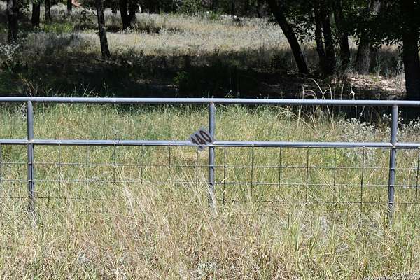 2 Acres of Residential Land for Sale in Natalia, Texas