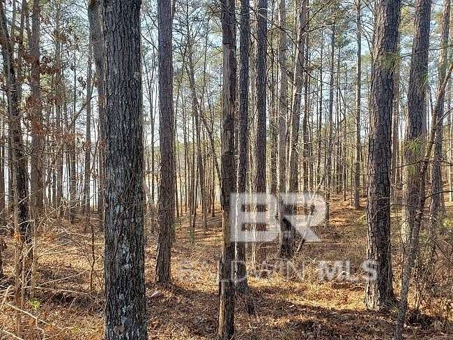Residential Land for Sale in Double Springs, Alabama