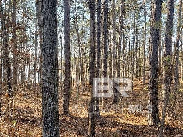 Residential Land for Sale in Double Springs, Alabama