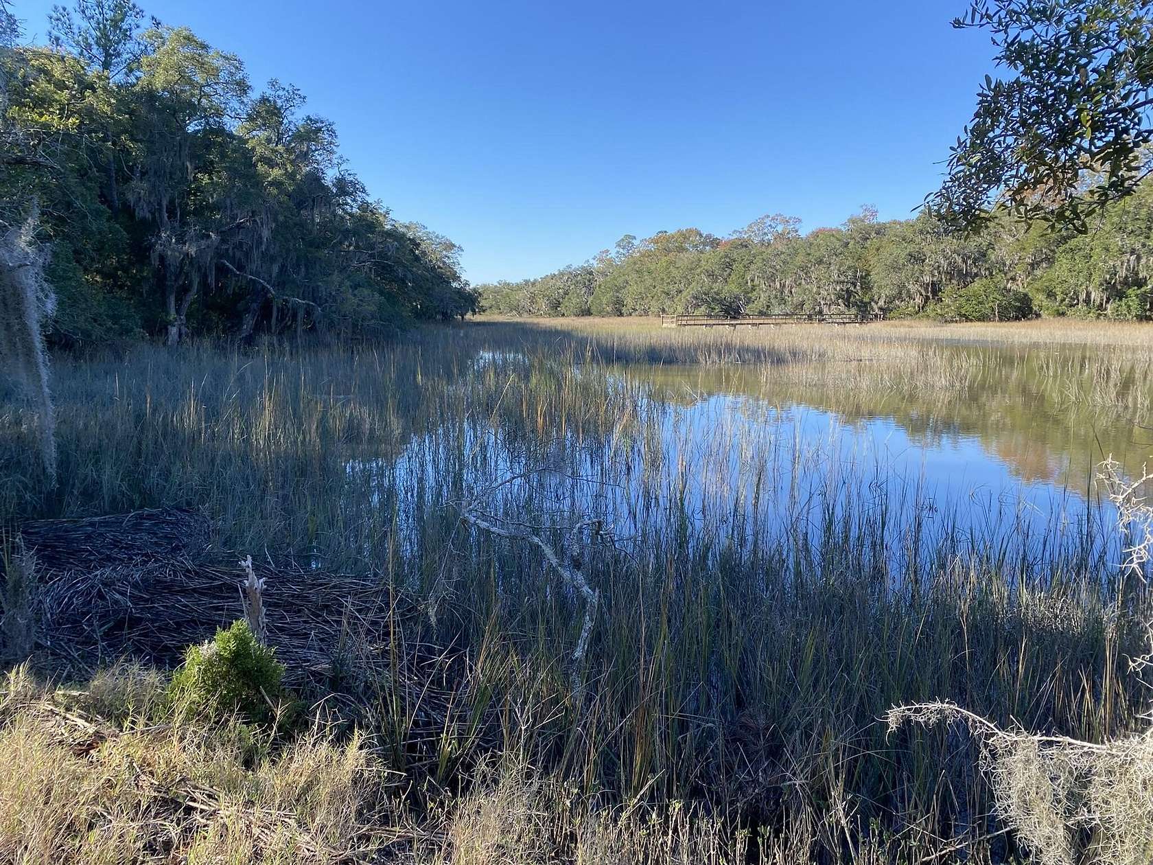 8.39 Acres of Residential Land for Sale in Yonges Island, South Carolina