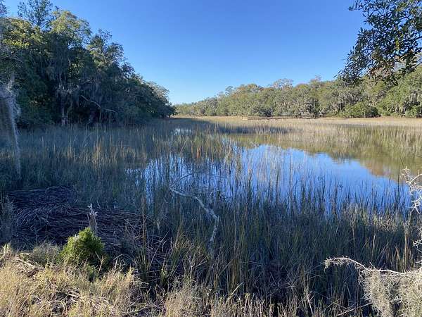 8.39 Acres of Residential Land for Sale in Yonges Island, South Carolina