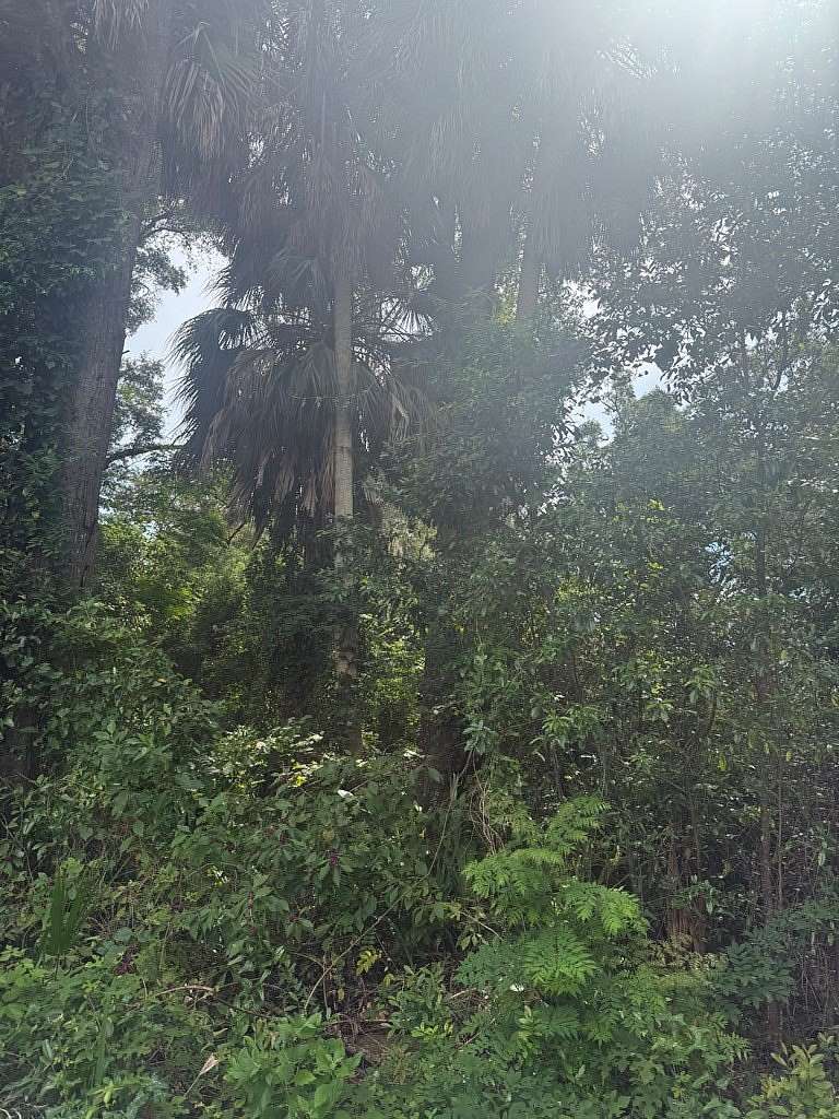 0.31 Acres of Residential Land for Sale in Chiefland, Florida