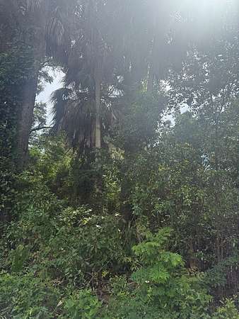 0.31 Acres of Residential Land for Sale in Chiefland, Florida