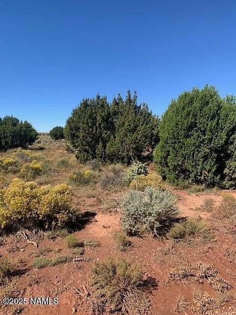 12.1 Acres of Land for Sale in Williams, Arizona
