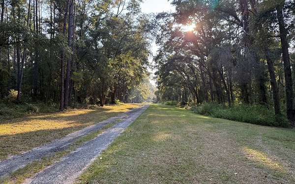 8 Acres of Residential Land for Sale in McAlpin, Florida