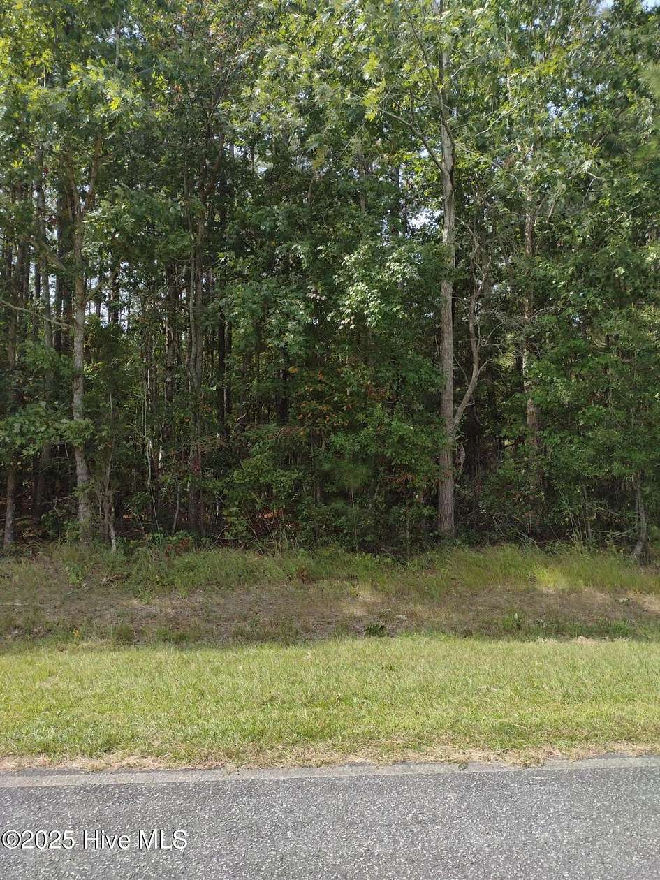 1.1 Acres of Residential Land for Sale in Bath, North Carolina