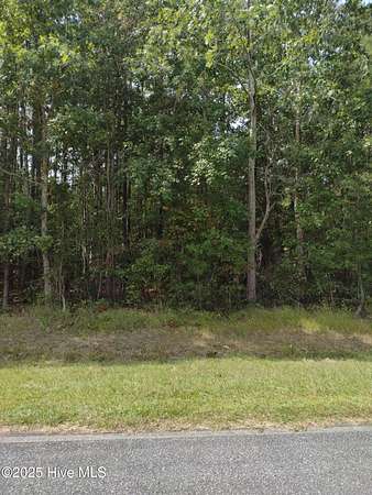 1.1 Acres of Residential Land for Sale in Bath, North Carolina