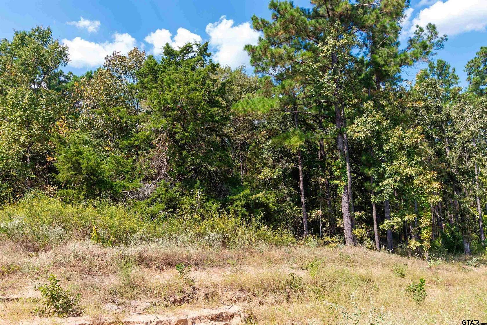 10 Acres of Land for Sale in Hawkins, Texas